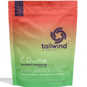Tailwind Endurance Fuel 810g Duawatermelon