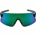 Giant Helio Lens Polarvis Black/Green