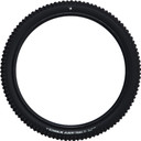 Schwalbe Albert Radial Tubeless Folding 29" Tyre