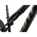 Giant Anthem Advanced SL 0 Raw Carbon