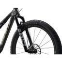 Giant Anthem Advanced SL 0 Raw Carbon