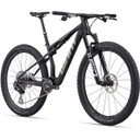 Giant Anthem Advanced SL 0 Raw Carbon