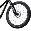 Giant Anthem Advanced SL 0 Raw Carbon