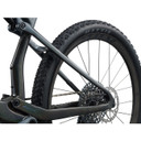 Giant Anthem Advanced SL 1 Rainbow Black