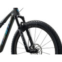 Giant Anthem Advanced SL 1 Rainbow Black