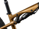 Liv Pique Advanced SL 0 Raw Carbon/Steampunk
