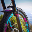 All Mountain Style Fork Guard - Clear/Silver