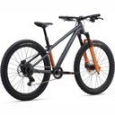 Giant STP Black Chrome 24"