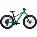Giant STP Teal 20"