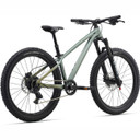 Liv STP Apline Green 24"