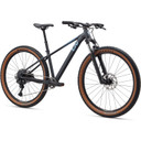 Liv Tempt 1 29inch Black Diamond MTB Bike
