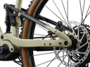 Liv Embolden E+ 1 Pale Moss/Black