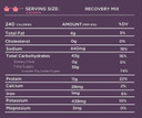 Tailwind Recovery Mix 1.2kg Strawberry