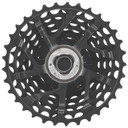 Campagnolo Record 13 Speed Cassette