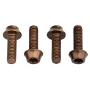Wolf Tooth Bottle Cage Bolts Espresso
