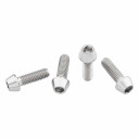 Wolf Tooth Ti Bottle Cage Bolts Raw