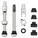 Wolf Tooth Tubeless Valve Kit for Clik Valves 44mm Raw Silver
