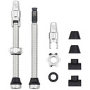 Wolf Tooth Tubeless Valve Kit for Clik Valves 60mm Raw Silver