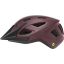 Liv Path MIPS Helmet Matte Fig