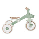 Globber Learning Trike 2in1 Plus Ecologic Pistachio