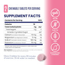 SaltStick Electrolyte FastChews Watermelon 10 Chew Packet