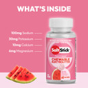 SaltStick Electrolyte FastChews Watermelon 60 Chew Bottle