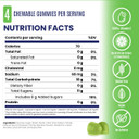 SaltStick Energy Gummies Green Apple Packet of 8