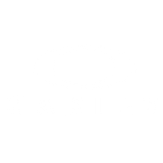 Logo Image Alt Text