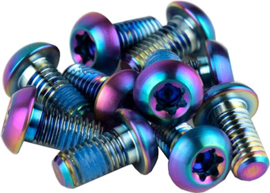 SRAM Titanium T25 Rotor Bolt Kit Rainbow (Qty 12)