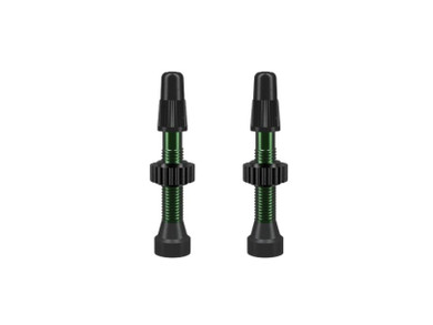 WTB TCS Presta Valve Set Green 34mm