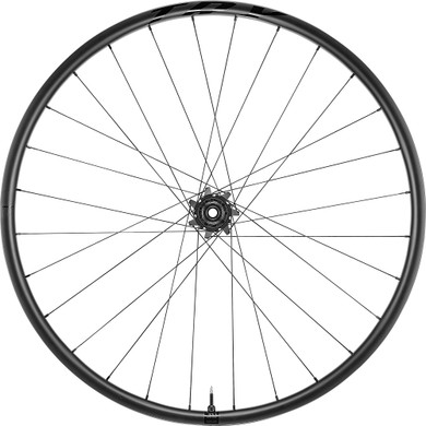 Giant TRX 29 Rear Wheel