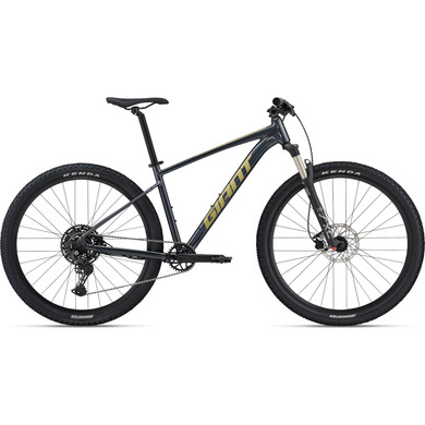 Giant 2024 Talon 29 1 Cold Iron MTB Bike