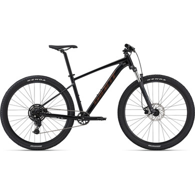 Giant 2024 Talon 29 2 Metallic Black MTB Bike