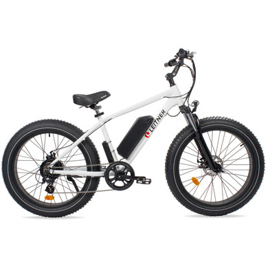 Leitner Electric Fat High Power Off-Road Ebike White 15ah