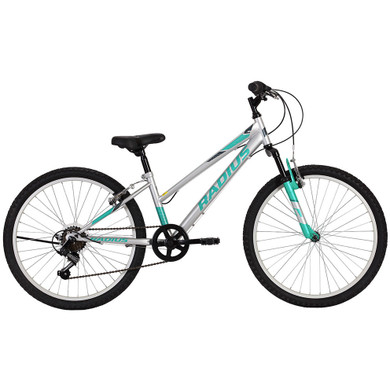 Radius Lynx 24Inch Gl Chrome/Turqoise/Charcoal