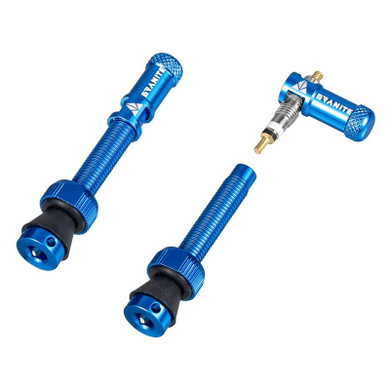 Blue valve stem with valve cap