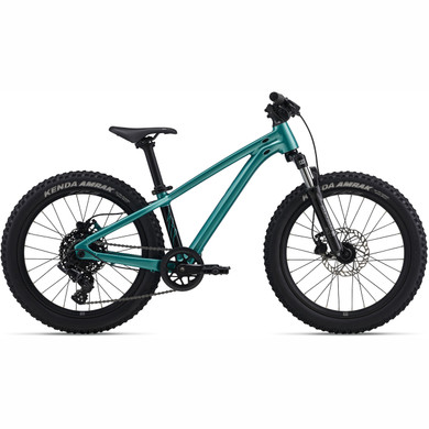 Giant STP Teal 20"