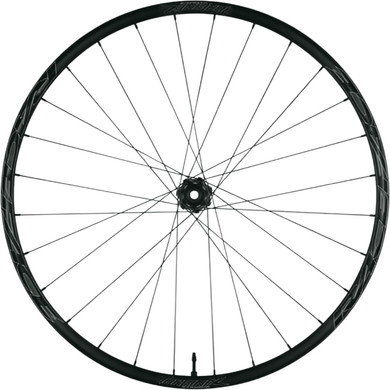 Race Face Turbine 35 29" 6 Bolt Rear Wheel