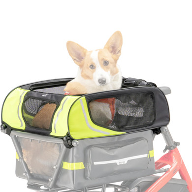 Tern Dog Roof Mini