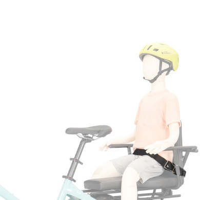 Tern Sidekick Seat Belt