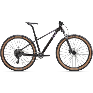 Liv Tempt 2 29 Obsidian Pulse