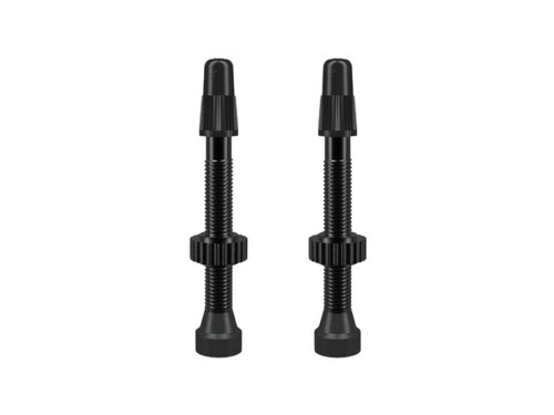 WTB TCS Presta Valve Set Black 46mm