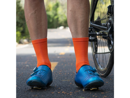Bellwether Tempo Socks