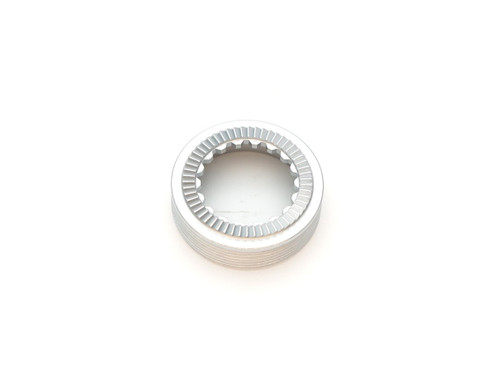 DT Swiss EXP Star Ratchet (Individual)