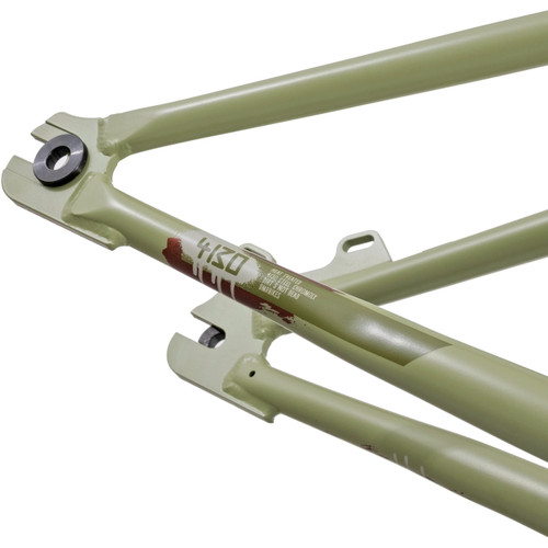 DMR Sect 24 Custom Frame Pistachio