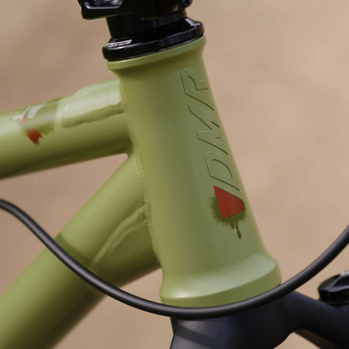 DMR Sect 24 Custom Frame Pistachio