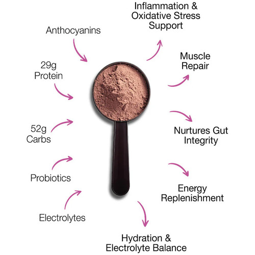Pure Performance + Race Recovery Pouch Choc Berry 672g