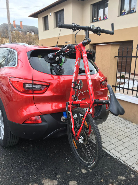 Tree Frog Pro 1 Vacuum Mounted Bike Rack