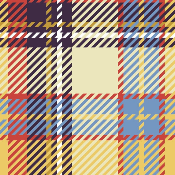 Dirtsurfer Mudguard Plaid To The Bone 3