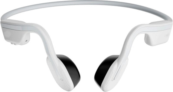 Shokz OpenMove Wireless Bluetooth Headphones